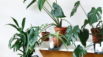 Beazy Lcxns7y1mm Unsplash (1)